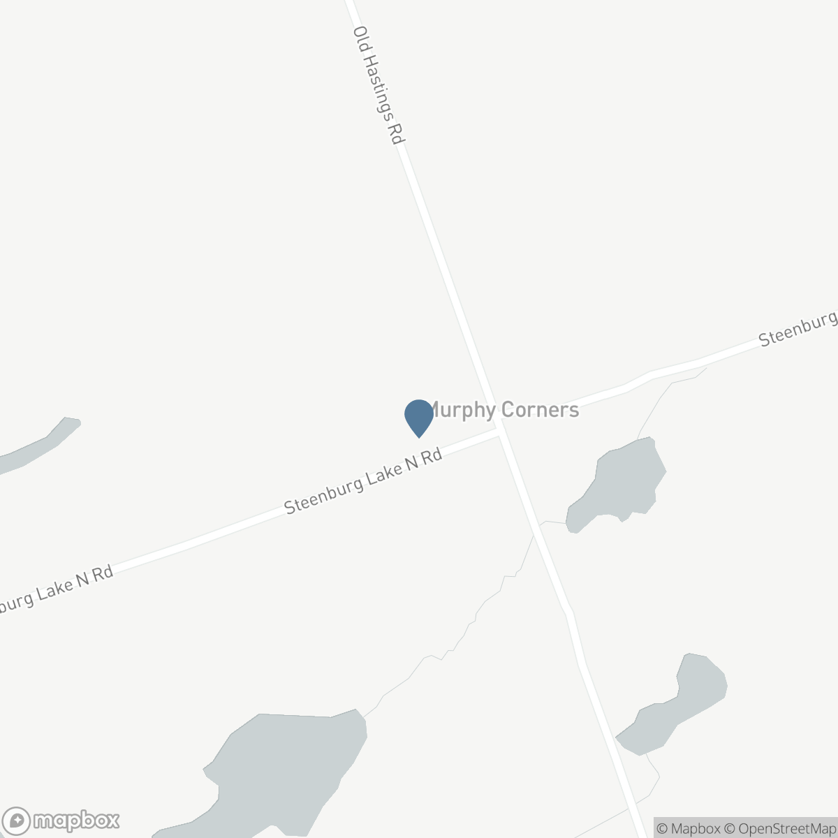 1594 NORTH STEENBURG LAKE ROAD, Coe Hill, Ontario K0L 1P0